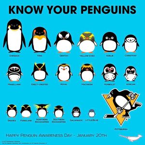 Image post by @penguins on Instagram