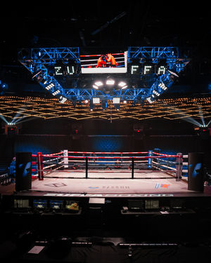 Image post by @zuffaboxing on Instagram