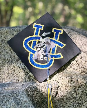 Image post by @ucirvine on Instagram