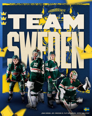 Image post by @minnesotawild on Instagram