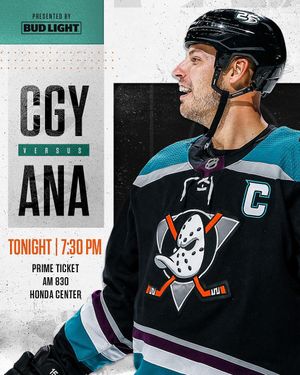 Image post by @anaheimducks on Instagram