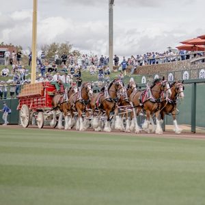 Image post by @camelbackranch on Instagram