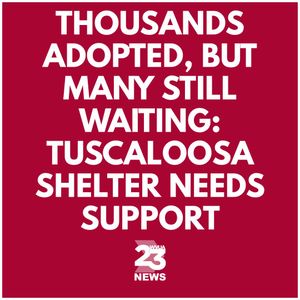 Image post by @wvua23 on Instagram
