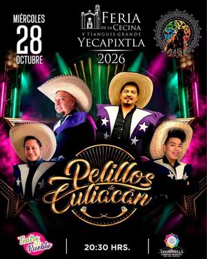 Image post by @pelillosdeculiacan on Instagram