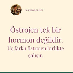 Image post by @asliokender on Instagram
