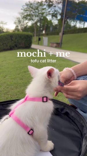 Video post by @sharmainealexxander on TikTok