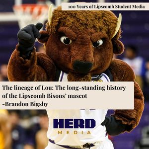 Image post by @medialipscomb on Instagram