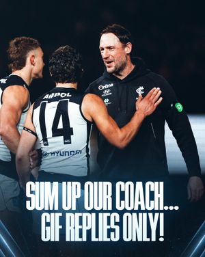 Image post by @carlton_fc on Instagram