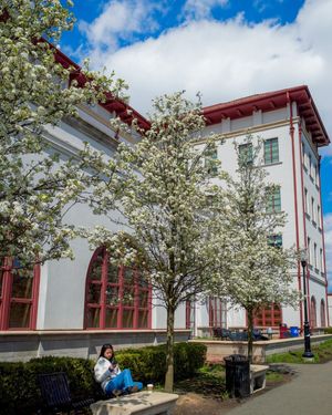 Image post by @montclairstateu on Instagram