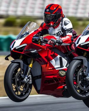 Image post by @panigalers on Instagram