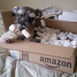 Image post by @amazon on Instagram