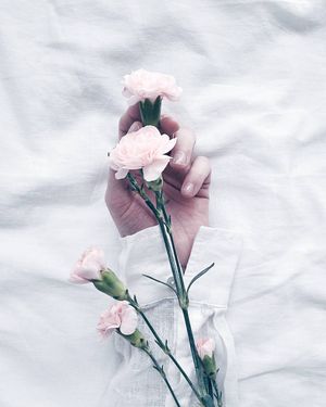 Image post by @kate.simple.life on Instagram