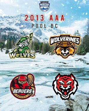 Image post by @Junior Prospects Hockey League on Facebook