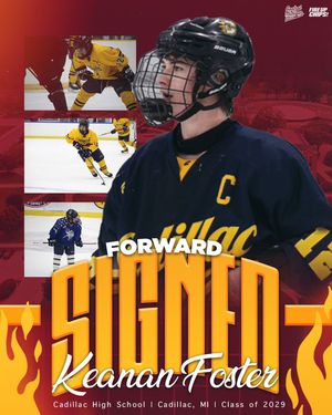 Image post by @cmuhockeyd3 on Instagram