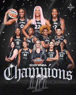 Video post by @lvaces on TikTok