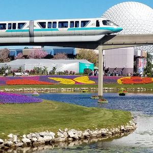 Image post by @thedisneyblog on Instagram