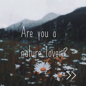 Image post by @leafyaffair on Instagram