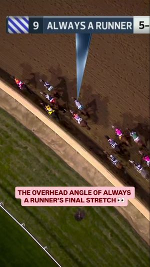 Video post by @nbcsports on TikTok