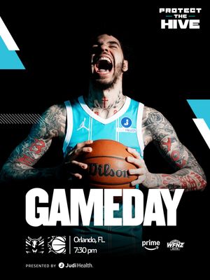 Image post by @hornets on Instagram
