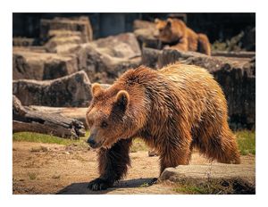 Image post by @leocouphoto on Instagram