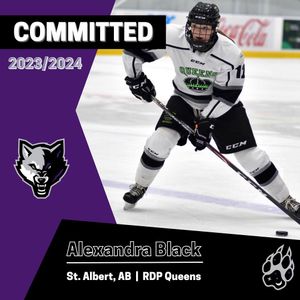 Image post by @yegjrwolves on Instagram