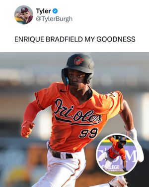 Image post by @milb_central on Instagram