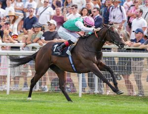 Image post by @juddmonte on Instagram