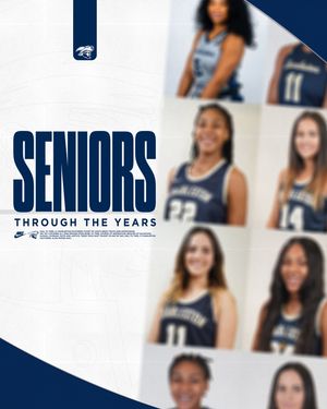 Image post by @csubucswbb on Instagram