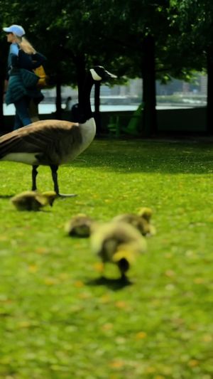 Video post by @sleighthehouse on TikTok