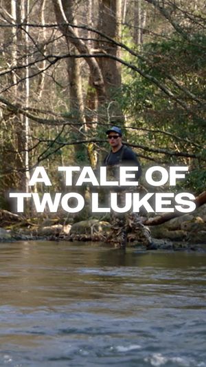 Video post by @panthers on TikTok