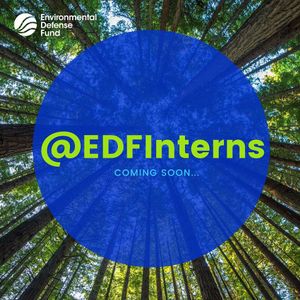 Image post by @edfinterns on Instagram
