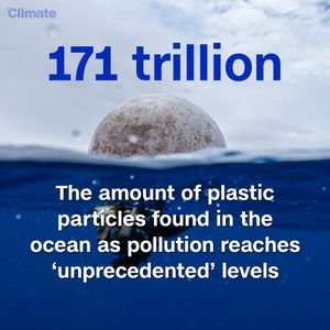 Image post by @cnnclimate on Instagram