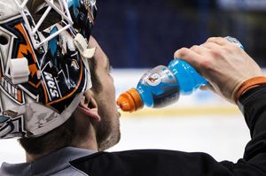 Image post by @sanjosesharks on Instagram