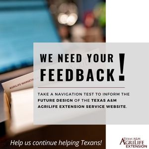 Image post by @txextension on Instagram