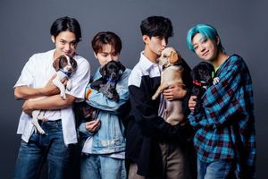 Image post by @buzzfeedpuppies on Twitter