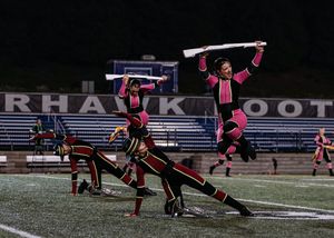 Image post by @madisonscouts on Instagram