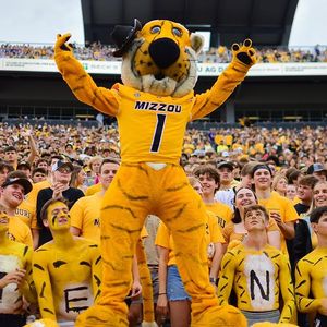 Image post by @trumanthetiger_mu on Instagram