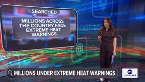 Video post by @abcnewslive on TikTok