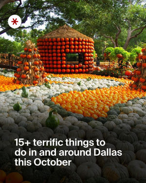 Image post by @secret_dallas on Instagram