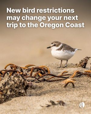 Image post by @theoregonian on Instagram