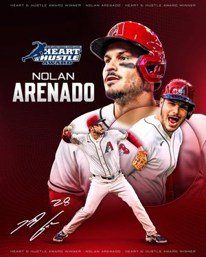 Image post by @Dbacks on Twitter