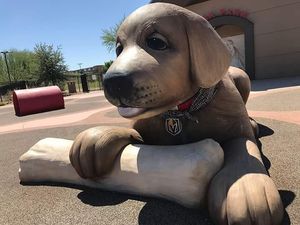 Image post by @cityofhenderson on Instagram