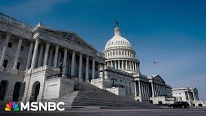 Video post by @msnbc on YouTube