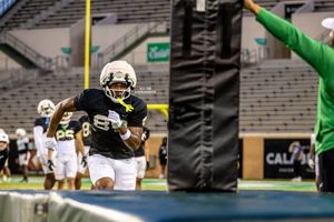 Image post by @MeanGreenFB on Twitter