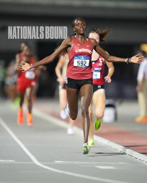 Image post by @cyclonetrackxc on Instagram