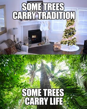 Image post by @greenpeace on Instagram