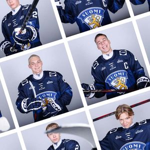 Image post by @leijonatfi on Instagram