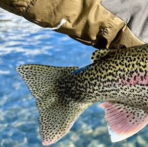 Image post by @usfws on Instagram