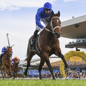 Image post by @godolphin on Instagram