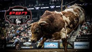 Video post by @pbr on YouTube
